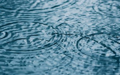 Market study of the Non Household Water Retail Market