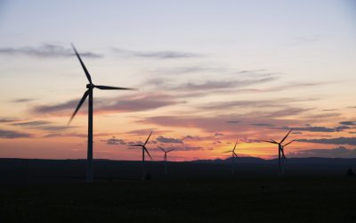 Calculating the Social Return of Investment for Electricity North West