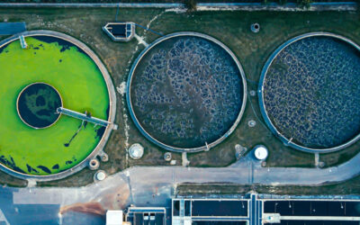 Economic Insight event on the future regulatory model for water