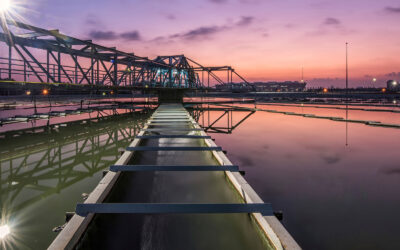 Response to Cunliffe review